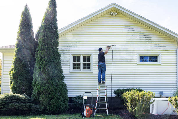 Best Roof Power Washing Services  in Pine, AZ