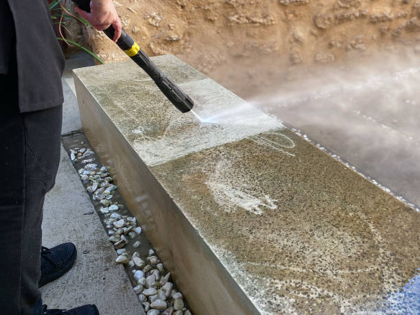 Best Affordable Pressure Washing  in Pine, AZ